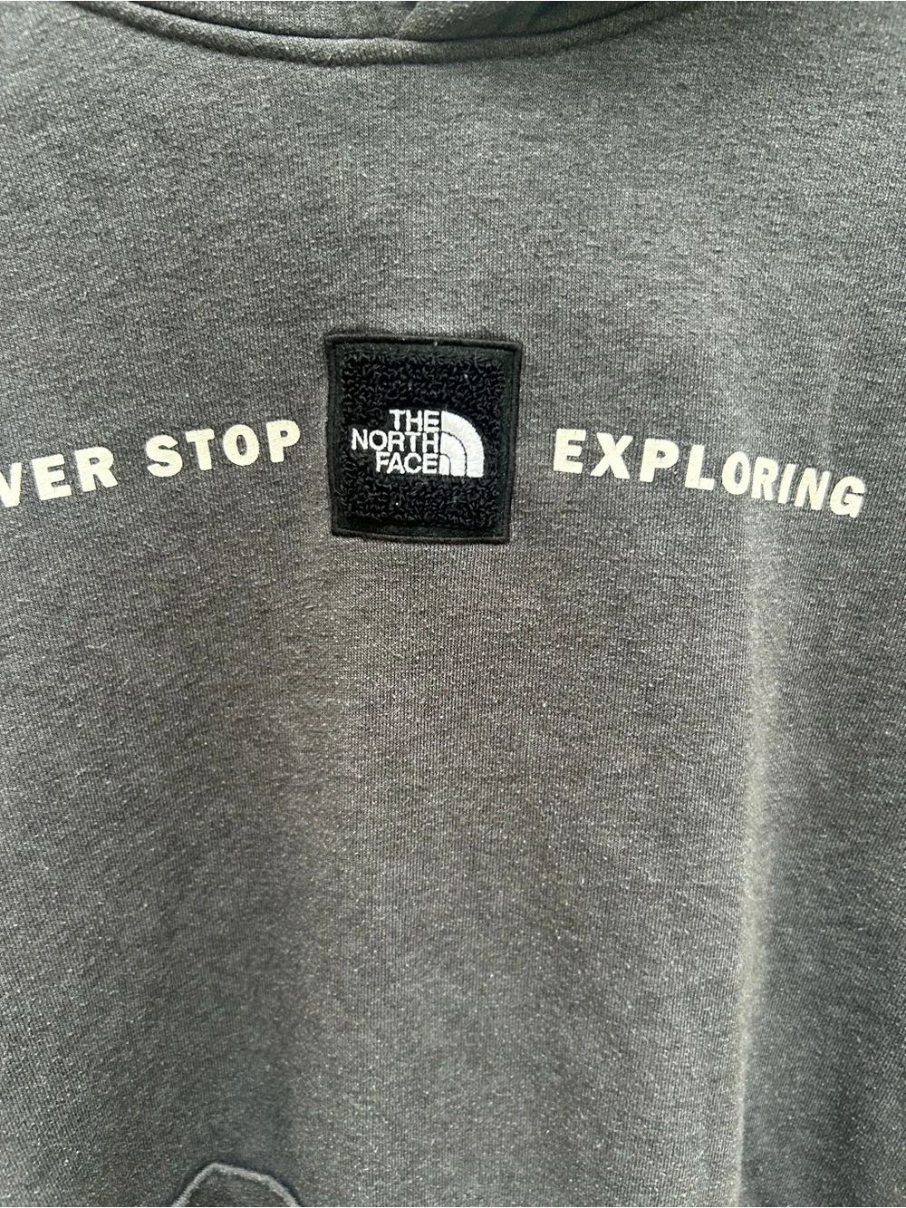 The North Face Men’s Charcoal Gray 'Never Stop Exploring' Crewneck Hoodie